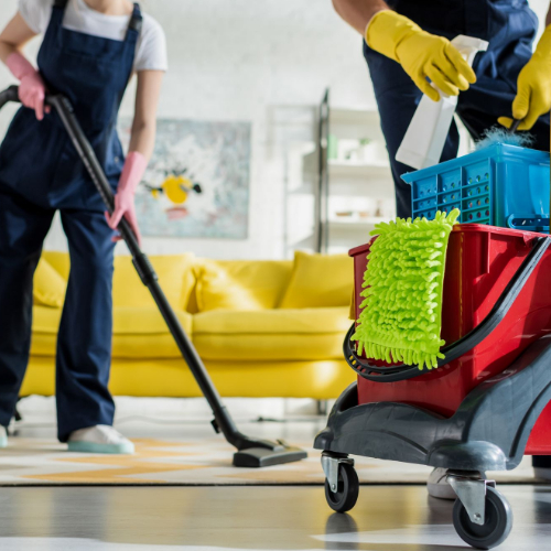 Braintree 1 Cleaning Service Excellence Cleaning Pro