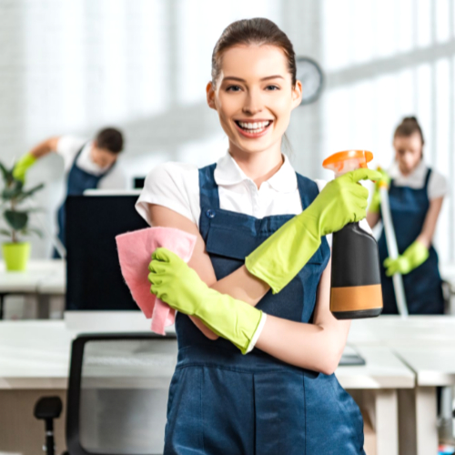 Cleaning Service Newton Excellence Cleaning Pro