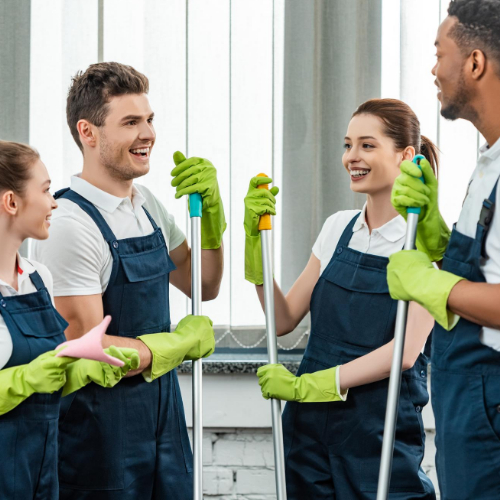 Cleaning Service Newton Excellence Cleaning Pro