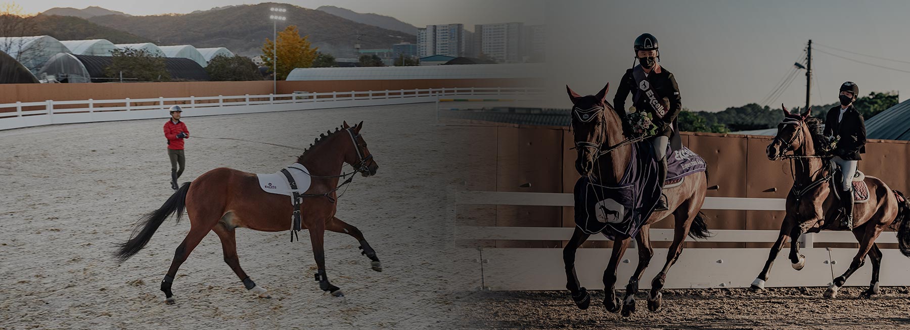 승마 Excello Equine R&D Center (엑셀로 이콰인 R&D 센터) 승마 Excello Equine R&D Center (엑셀로 이콰인 R&D 센터)