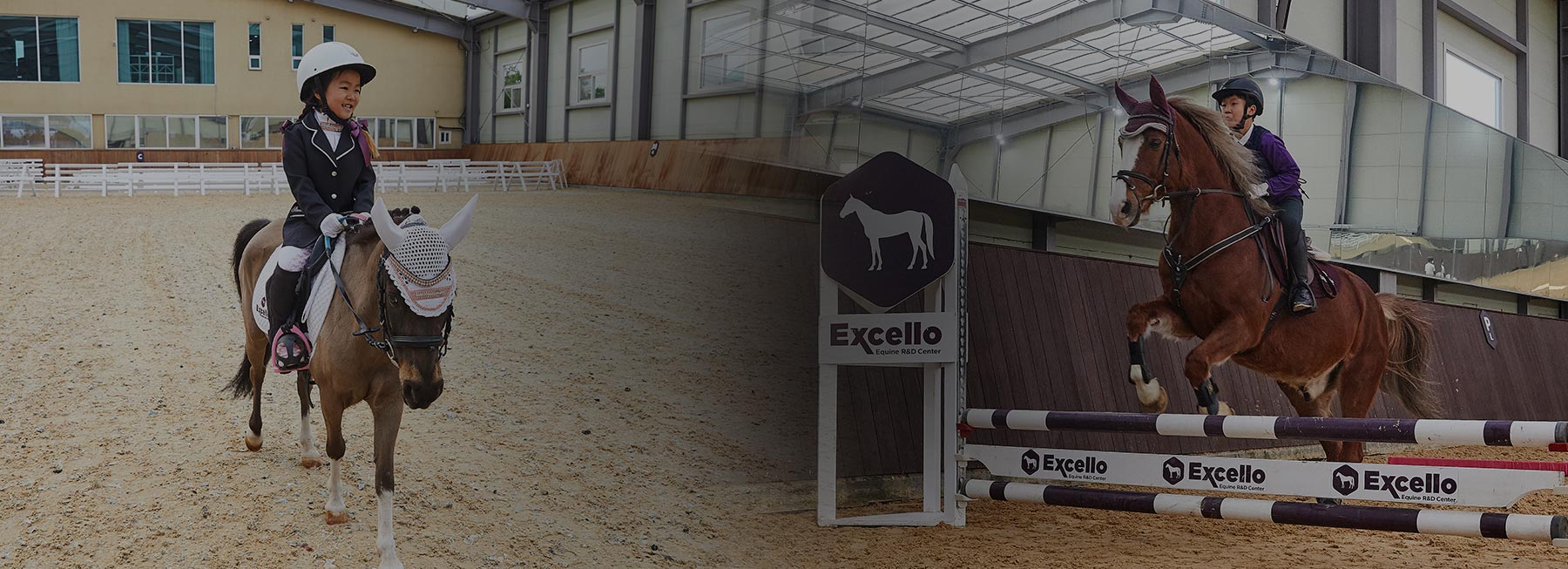 승마 Excello Equine R&D Center (엑셀로 이콰인 R&D 센터) 승마 Excello Equine R&D Center (엑셀로 이콰인 R&D 센터)