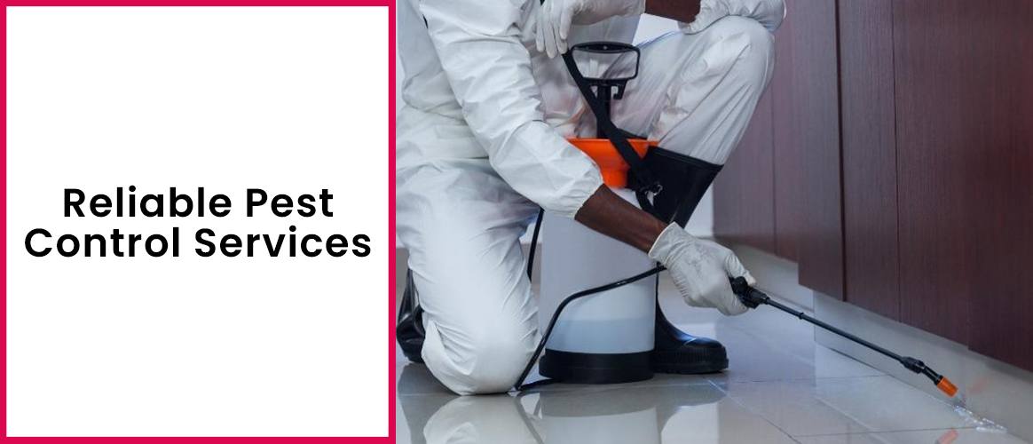 Pest Control Gold Coast QLD Excel Pest Control