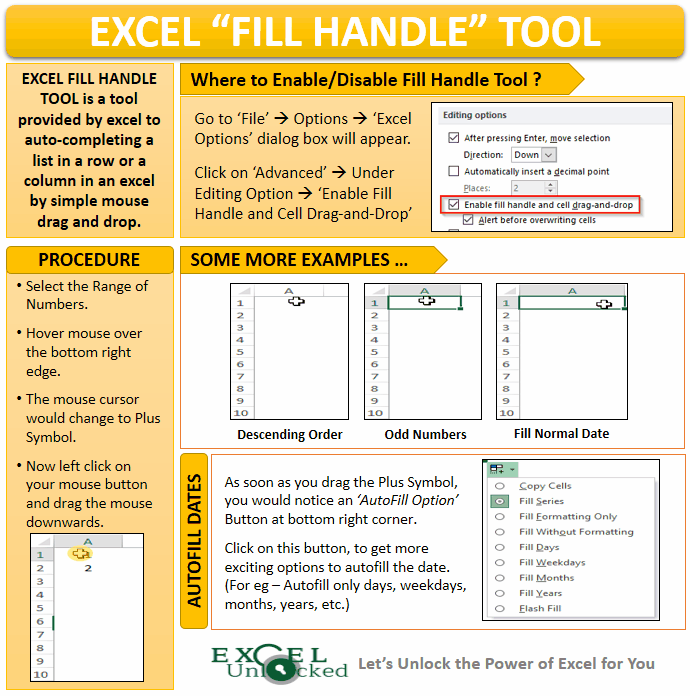 How to use Excel Fill Handle Tool Excel Unlocked