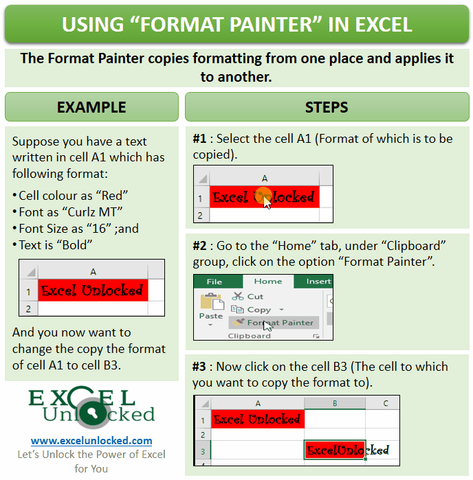 Using Format Painter Feature in Excel Excel Unlocked