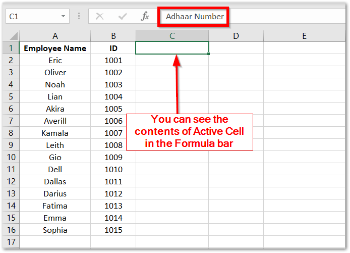 Hide or Unhide Cell Content in Excel Excel Unlocked