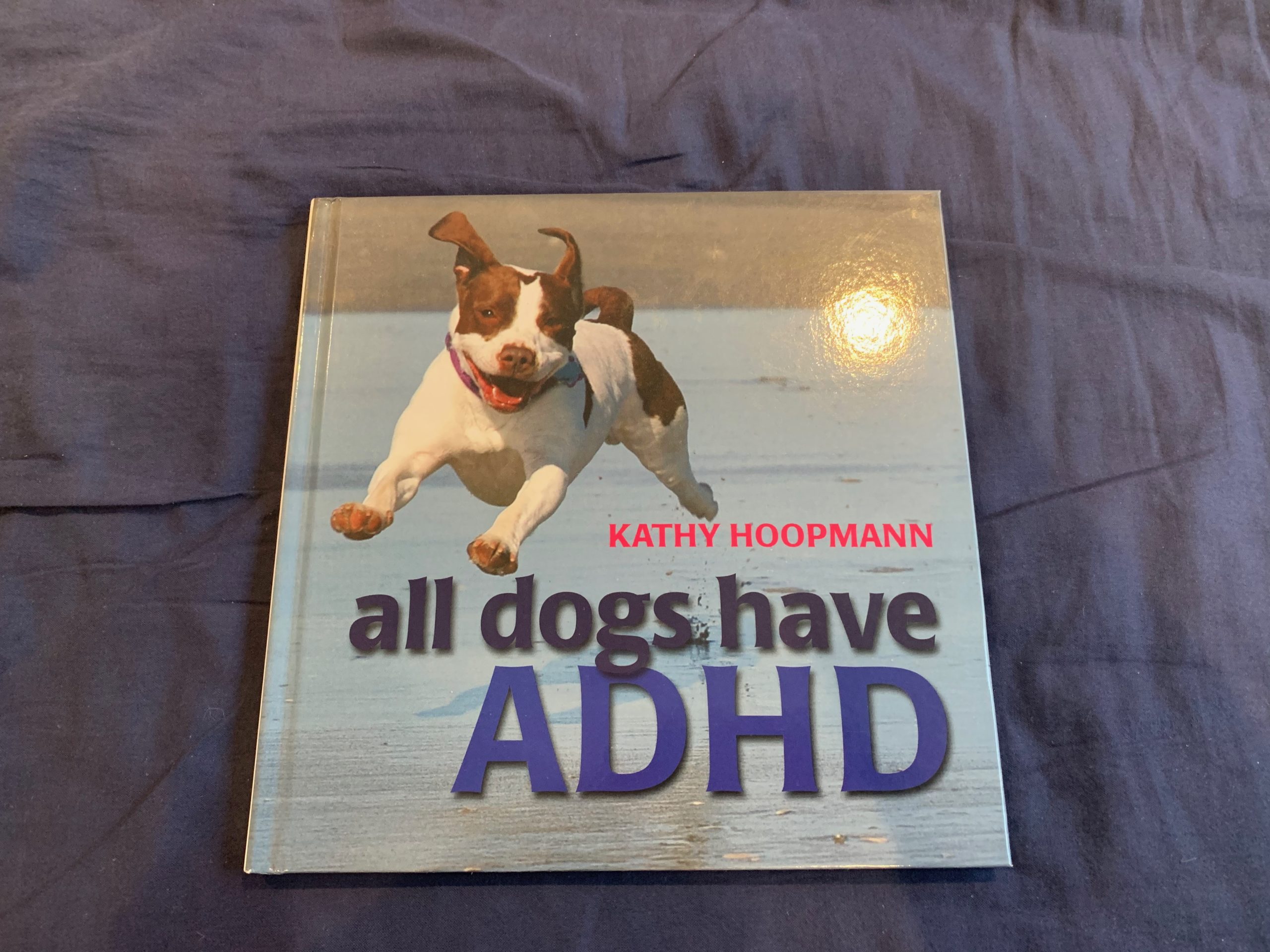 Book Review All Dogs Have ADHD Exceptional Individuals Book Review All Dogs Have ADHD Exceptional Individuals