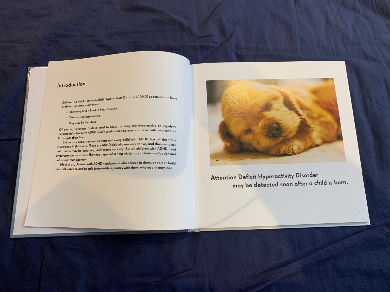 Book Review All Dogs Have ADHD Exceptional Individuals