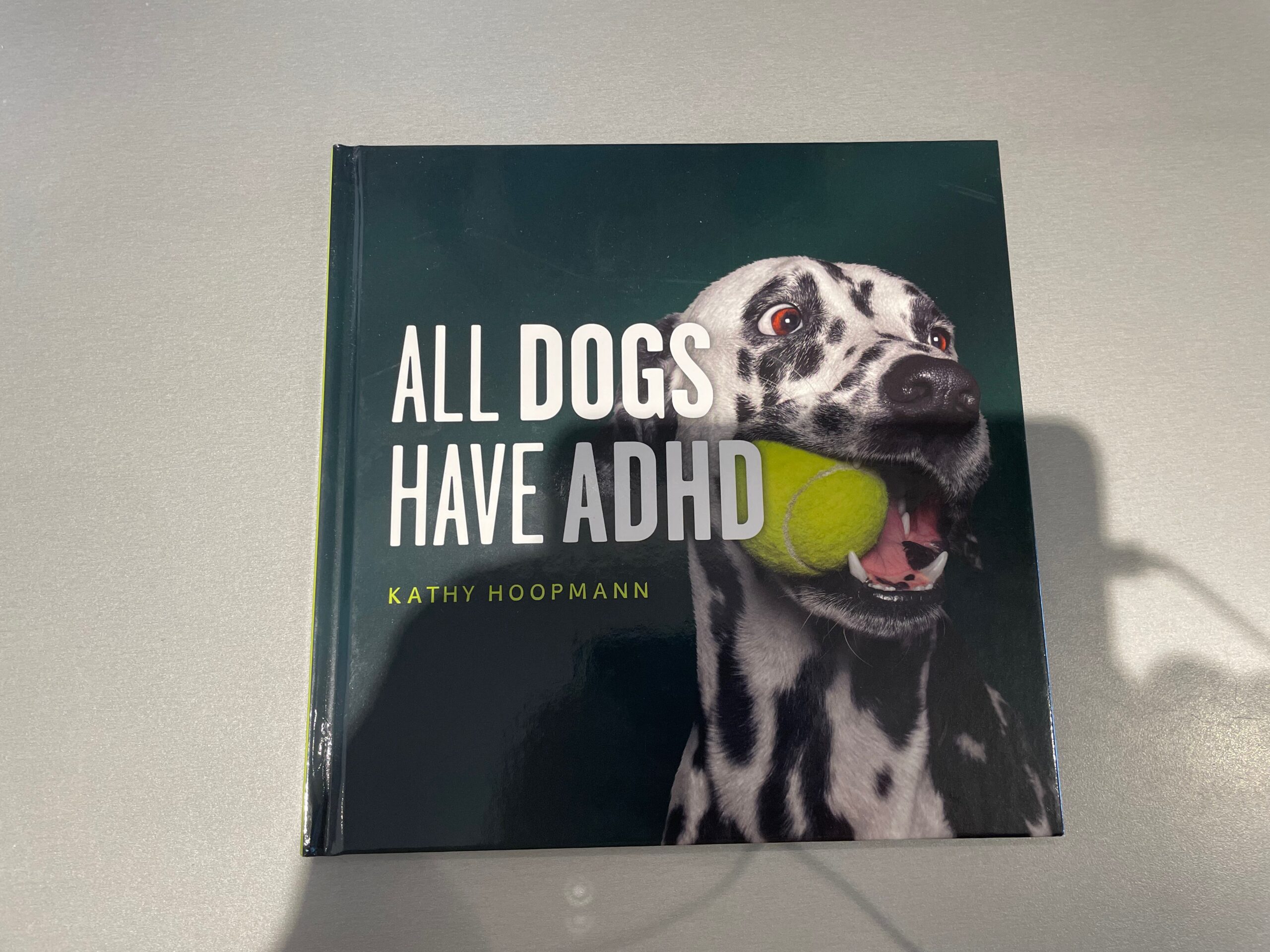 Attention Deficit Disorder In Dogs Can Dogs Have Adhd