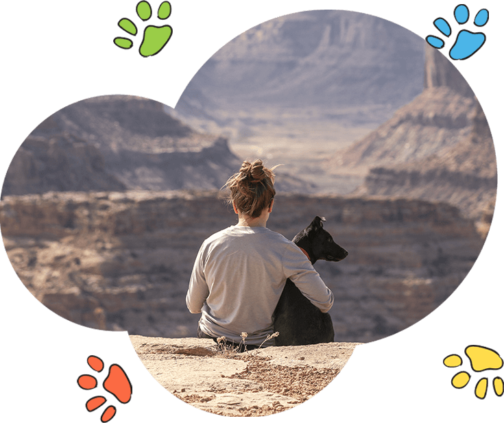 Pet Sitter in Dallas with Affordable Services Exceptional Pet Sitting