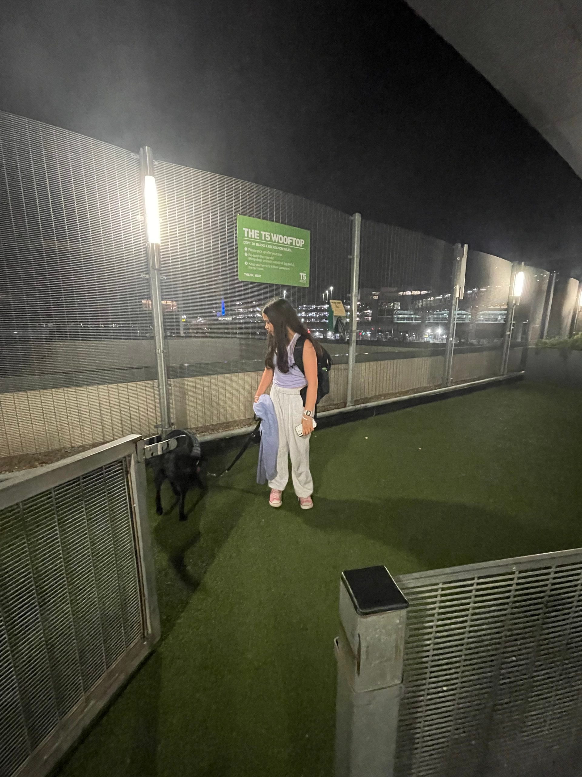 JFK Airport Relief Areas The Exceptional Sidekick Service Dogs