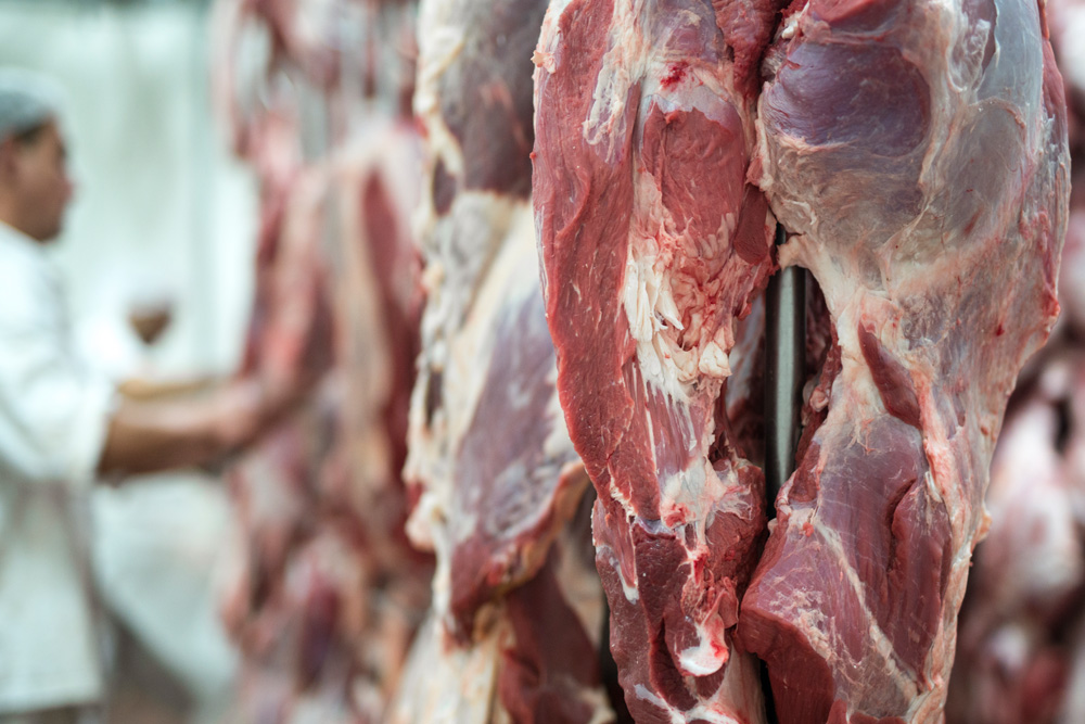 What Are The Common Preservatives Used In Meat?