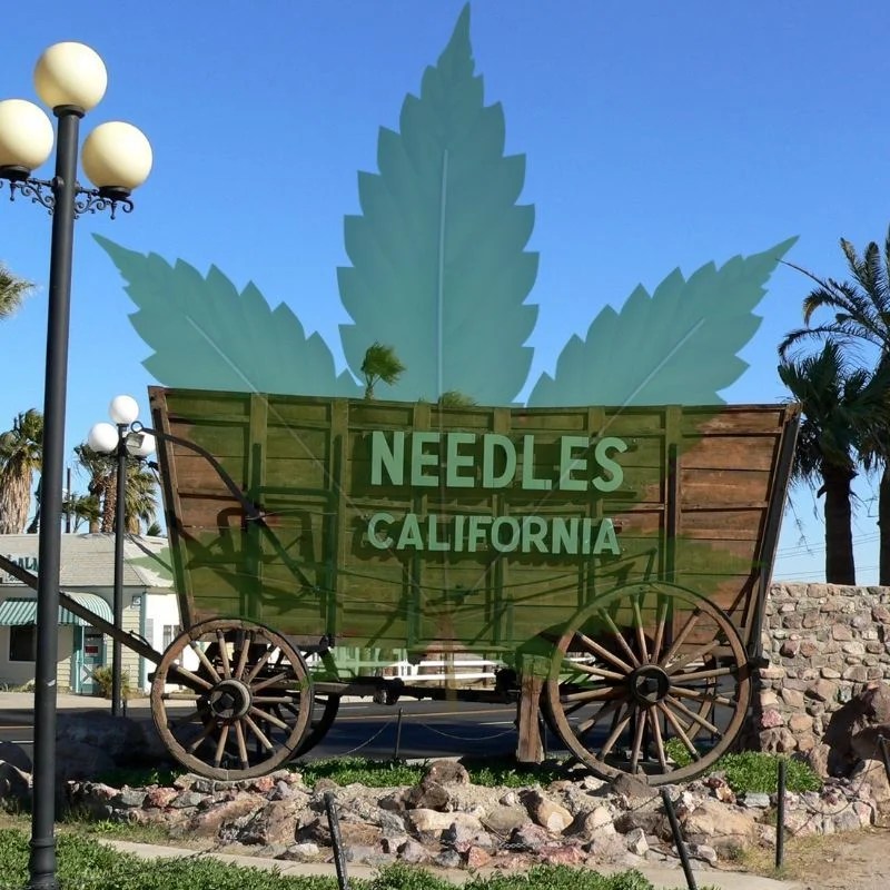 Cannabis Could be the Needle in the Haystack for Needles California