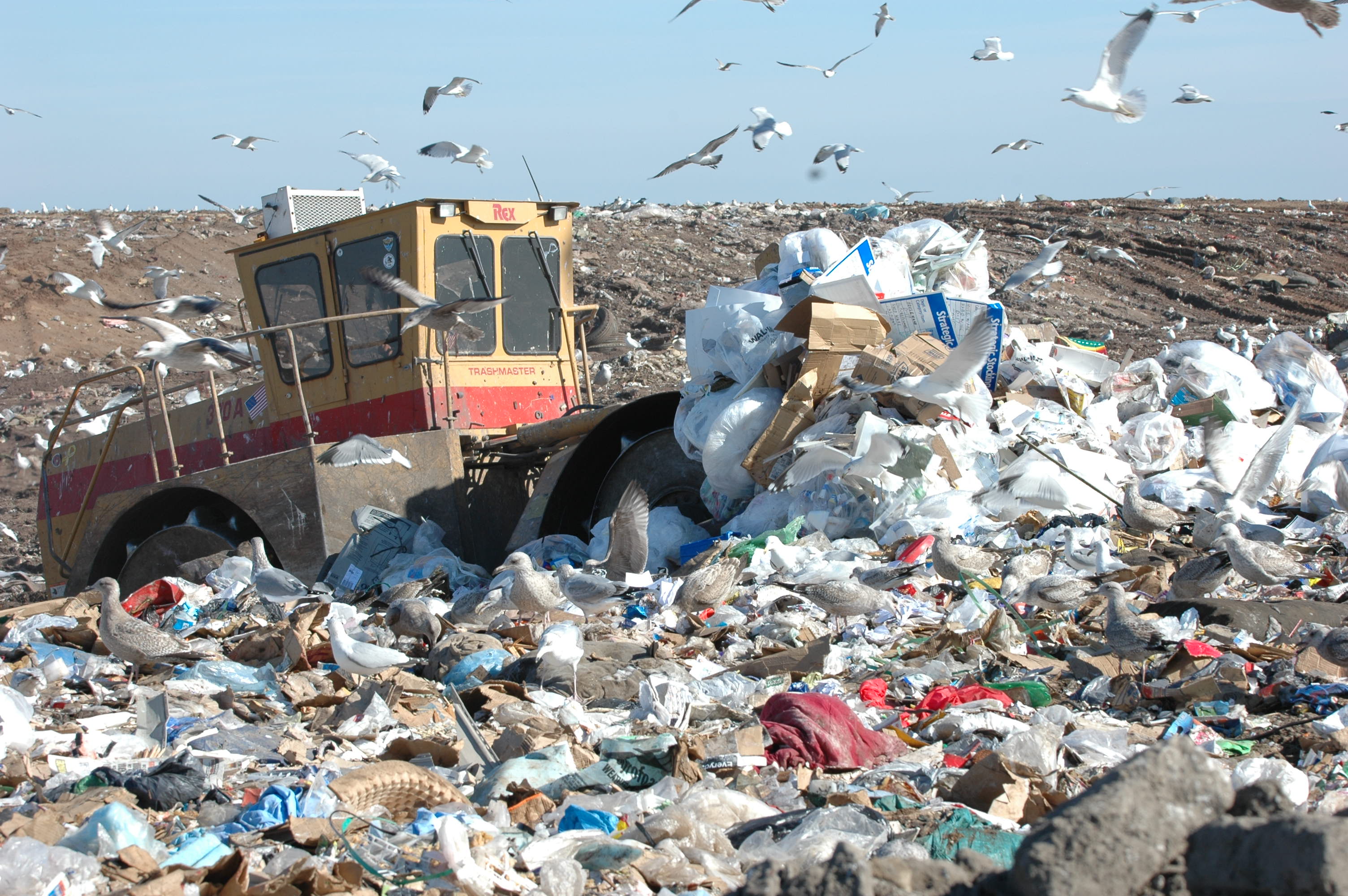 Environmental Problems Landfills Excess Logic Surplus Equipment
