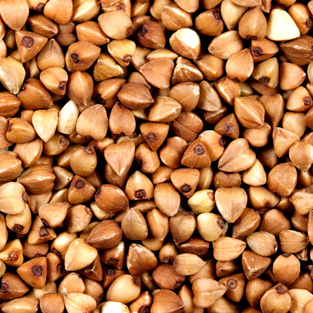 The Exchange Brewery Ingredients of Beer Ingredients List