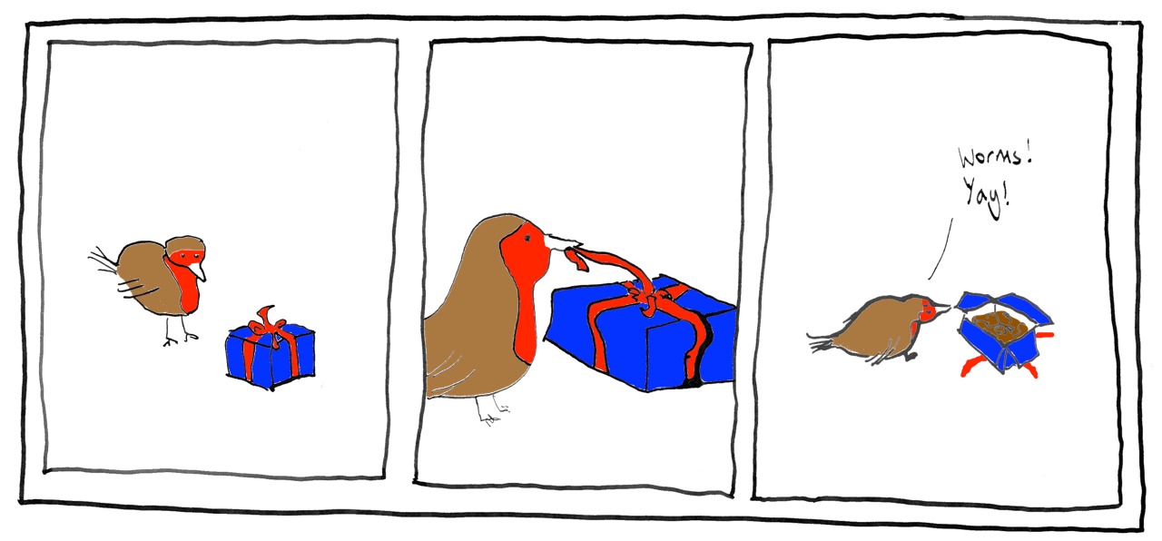 Robin Christmas card Jemima Kingsley