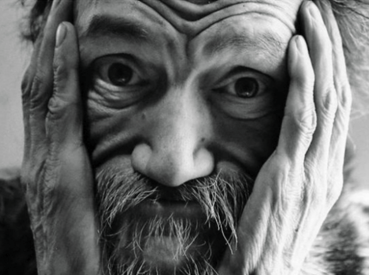 SNFU Fans Launch Fundraiser for Edmonton Chi Pig Mural Exclaim!