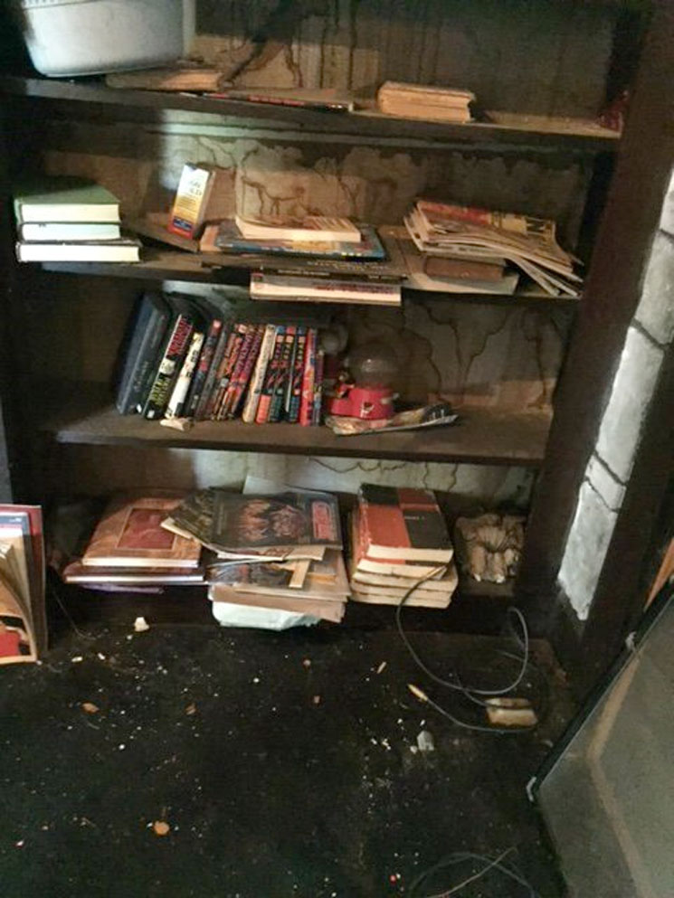 The Inside of Danzig's House Is Even More Disturbing Than We Imagined