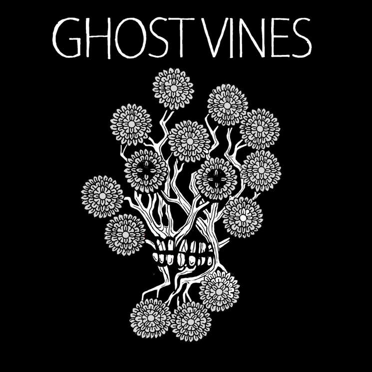 Ghost Vines Ghost Vines