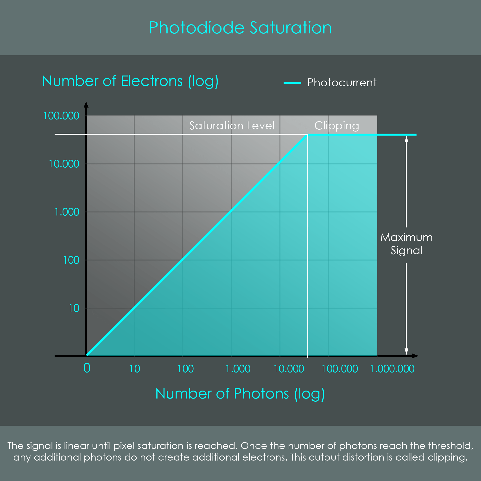 ƎXCLUSIVE ARCHITECTURE(04)