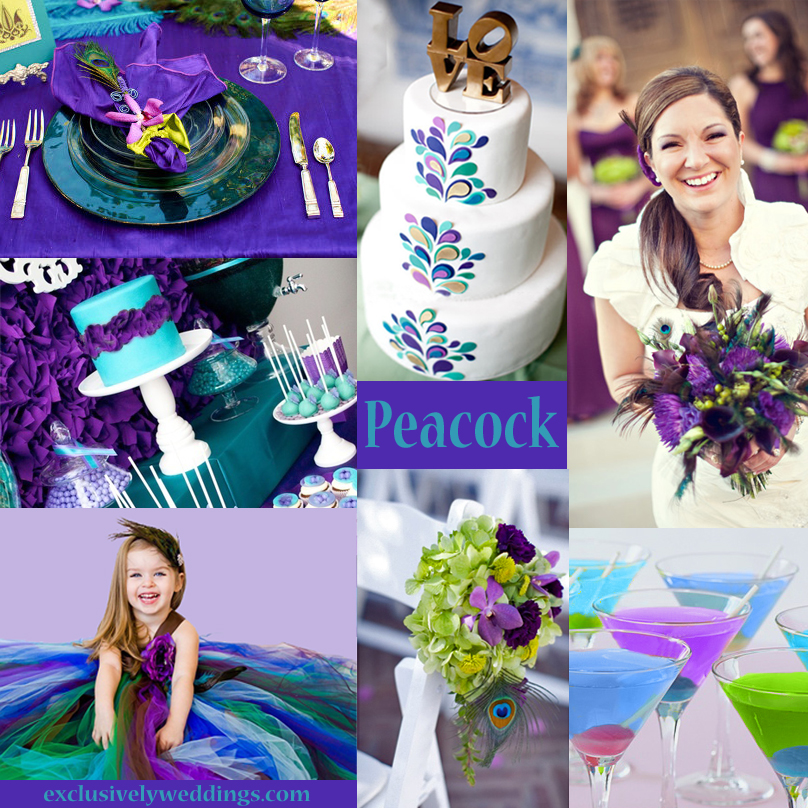 Your Wedding Colors Peacock Exclusively Weddings