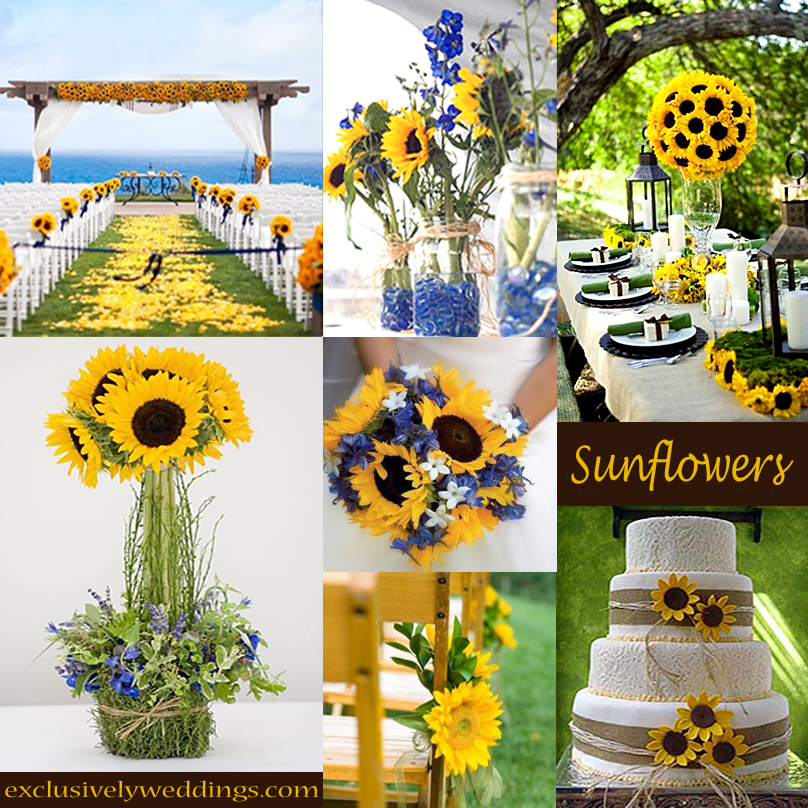 Girasoles on Pinterest Sunflowers, Sunflower Wedding Cakes and