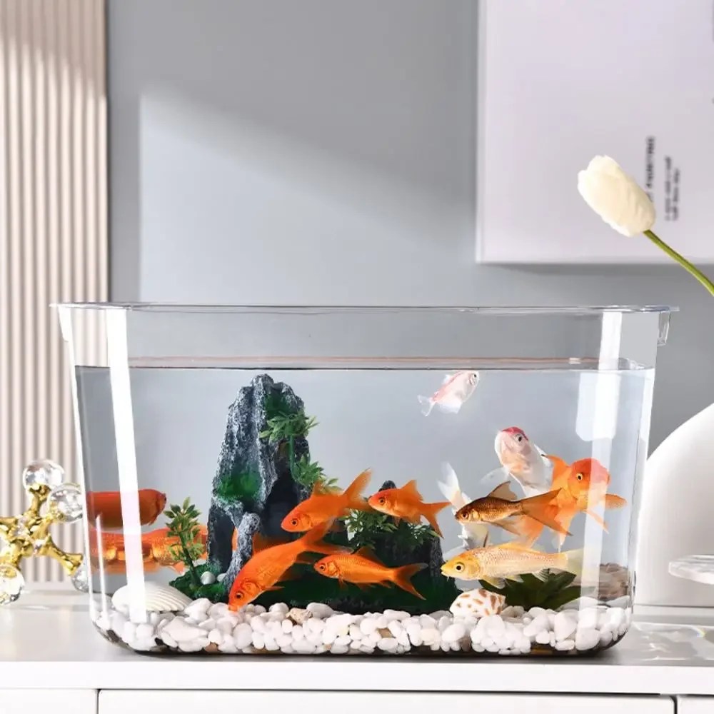 Why Your Fish Tank Looks Cloudy and How to Fix It