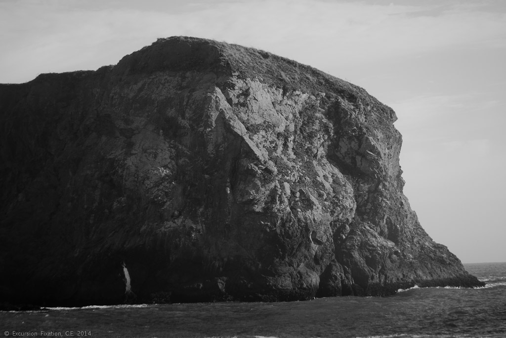 Bodega Bay July 2014 Excursion Fixation