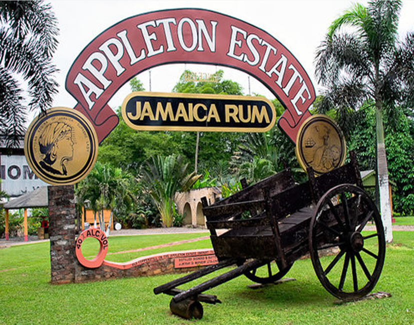Appleton Estate RUM Factory Tour from Ocho Rios Karandas Tours Ltd