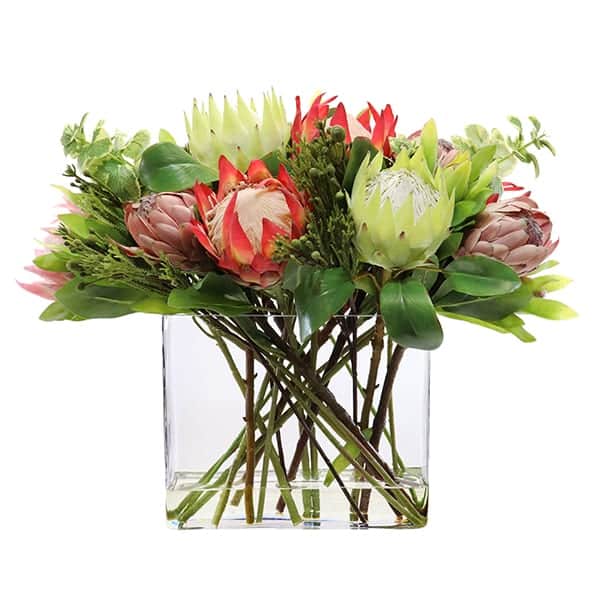 D277 Bidvest Execuflora Indoor Plants & Pots Commercial Landscaping