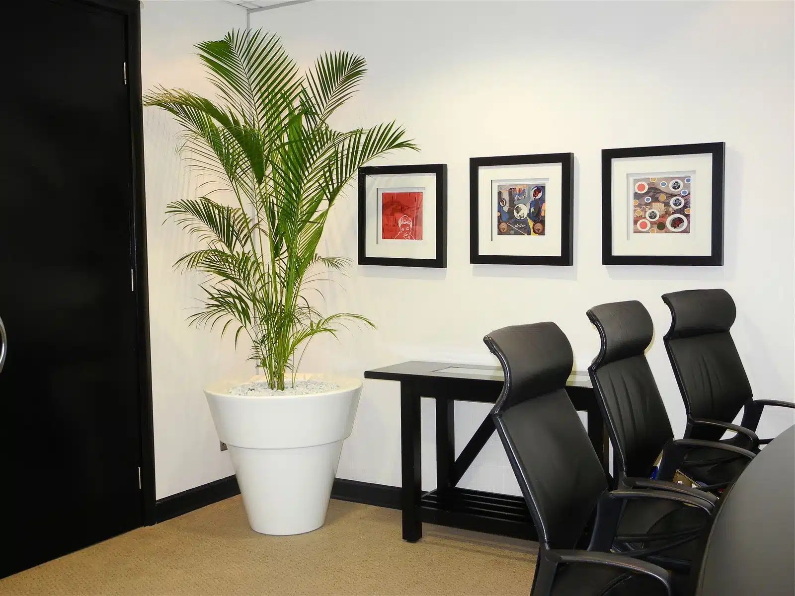Plant Ideas for Windowless Offices Bidvest Execuflora Indoor Plants