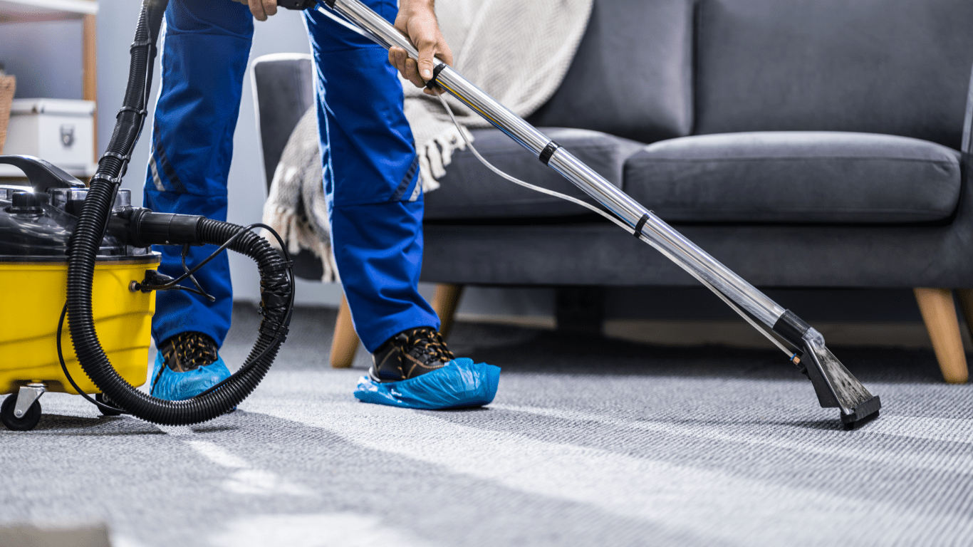 Bond Carpet Cleaning Executive Carpet Cleaning and Pest Control