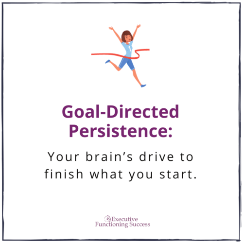 12 Executive Functions of the Brain Spotlight 2 GoalDirected