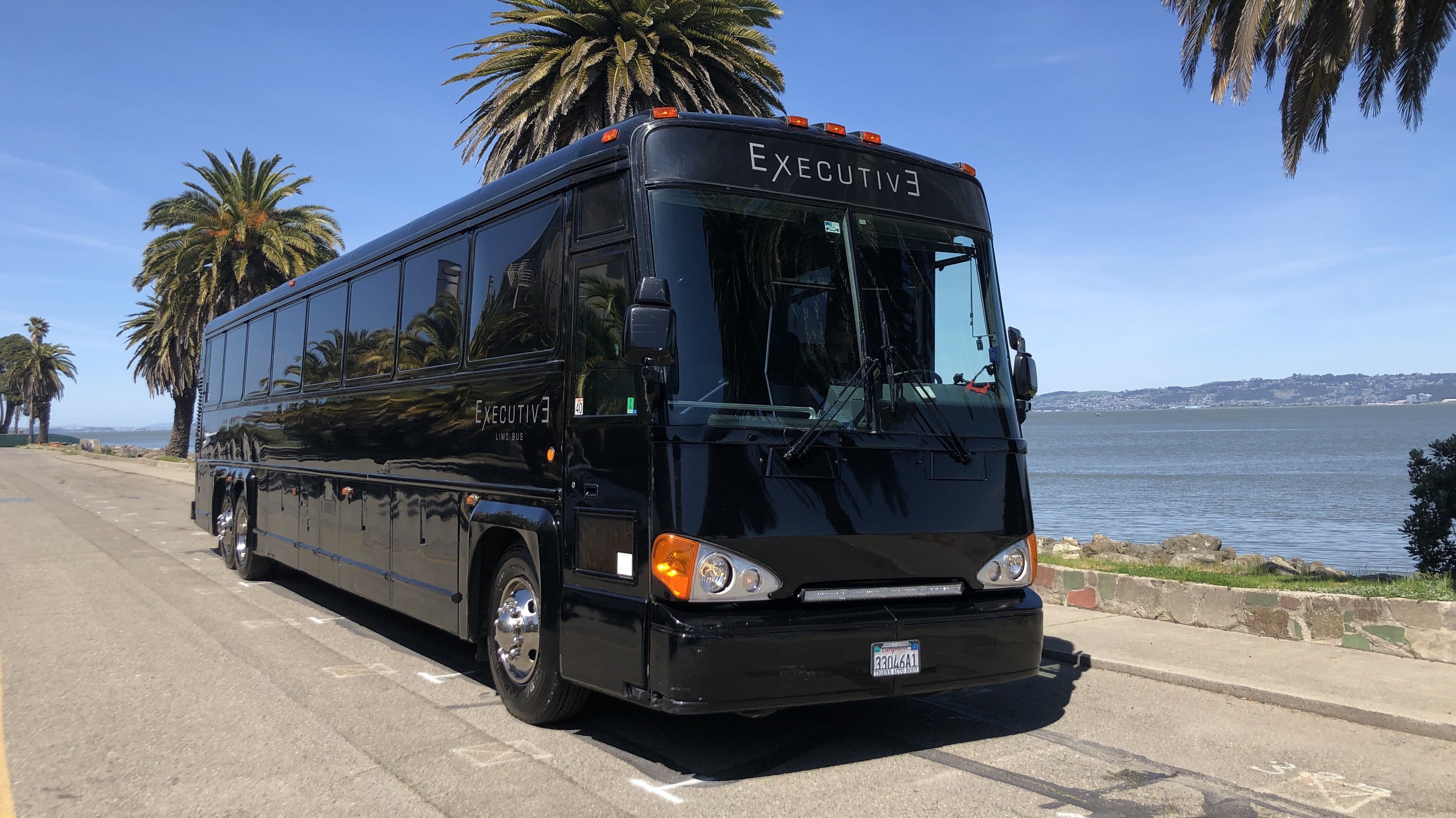 Executive Limo Bus SF Party Limo Bus and Sprinter Services