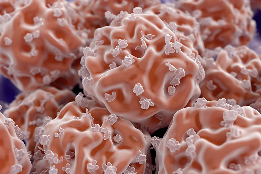 Stem Cell Disc Regeneration Carl Spivak, MD Executive Spine Surgery