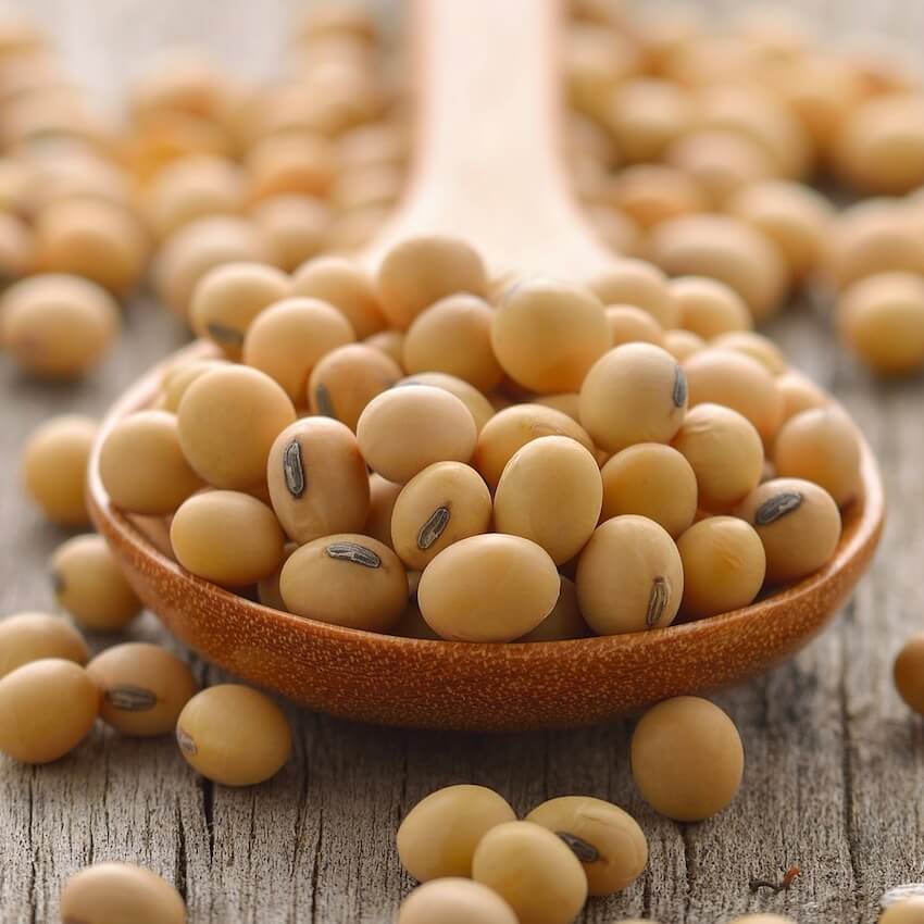 Isolated Soy Protein Msg