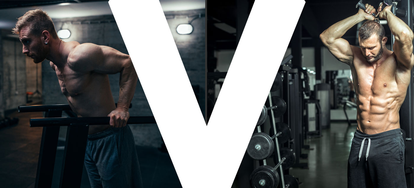 Titans of Training Tricep Dips VS Overhead Extensions Exercise