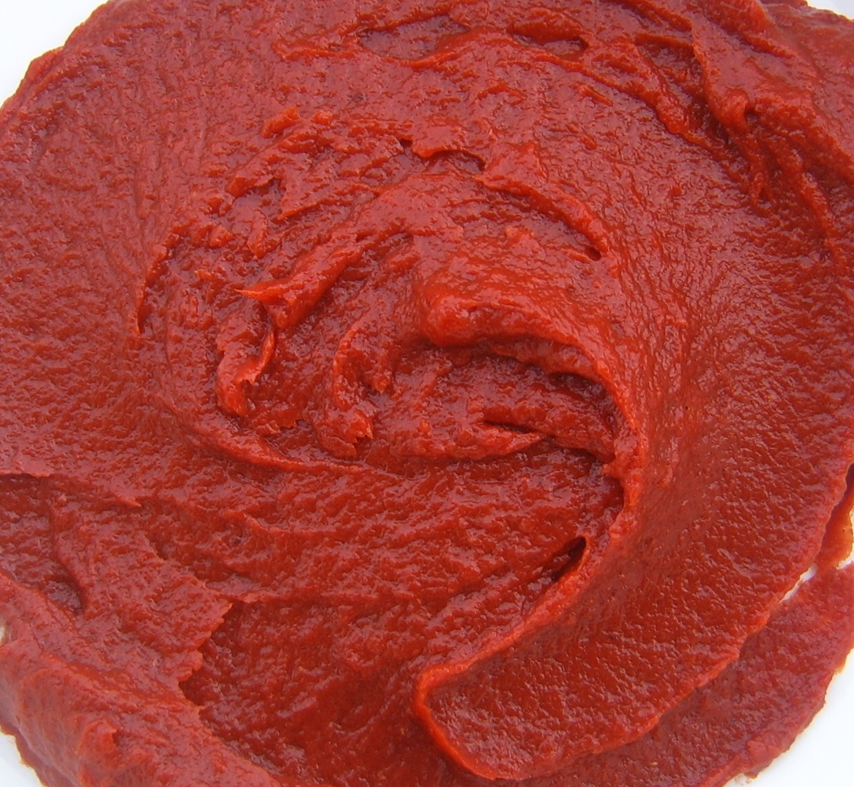 Tomato Paste Sauce « Pasta & Recipies « Exercise and Mind