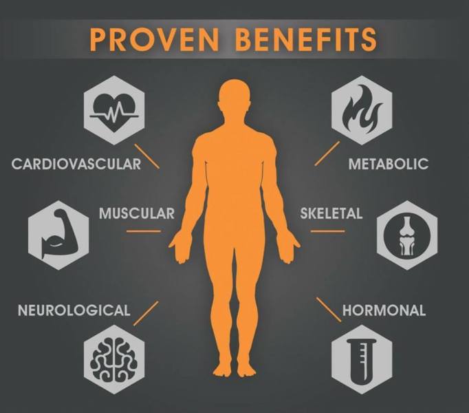 The Effects of Exercise Why It’s Never Too Late to (re)Start