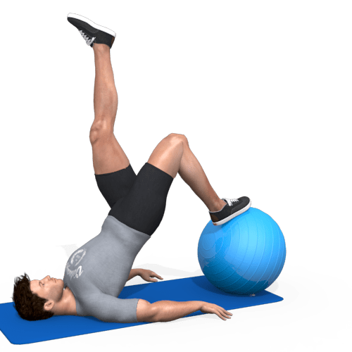 Exercise Ball Single Leg Hamstring Ball Roll Hip Lift Video Exercise Guide