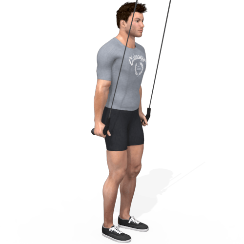 Pulley Triceps Pushdown Video Exercise Guide