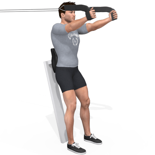Pulley Triceps Extension Leaning Video Exercise Guide