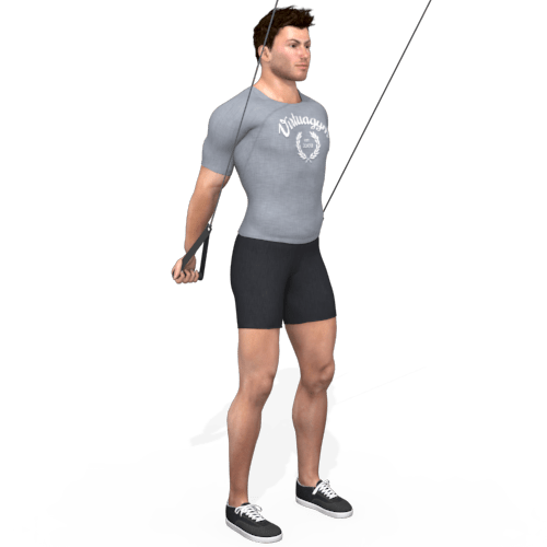 Pulley Straight Arm Pull Down Reverse Grip Video Exercise Guide