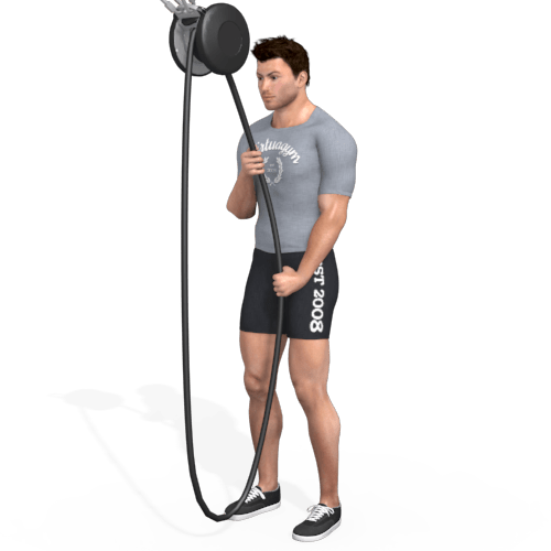 Pulley Triceps Pulldown Video Exercise Guide