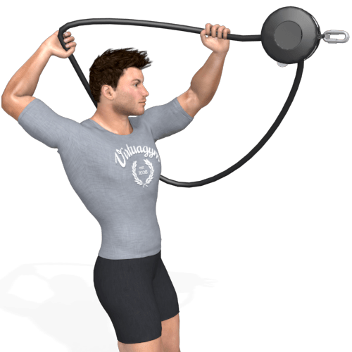 Pulley Overhead Pull Video Exercise Guide