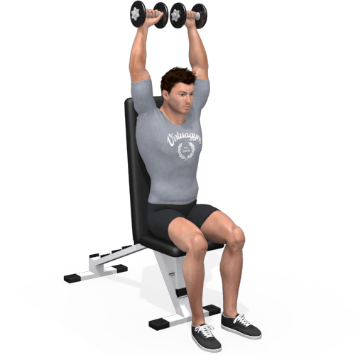 Dumbbells Arnold Press Video Exercise Guide