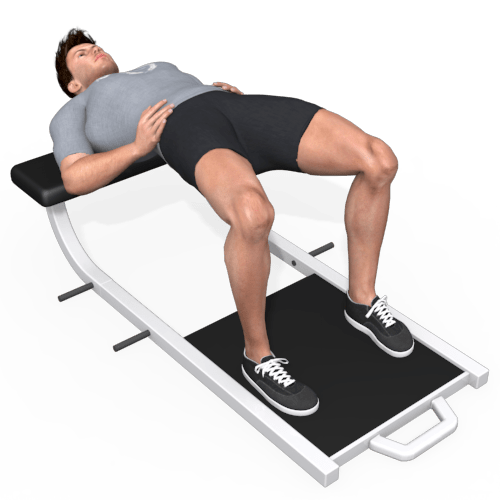 Bench Hip Thrust Video Exercise Guide