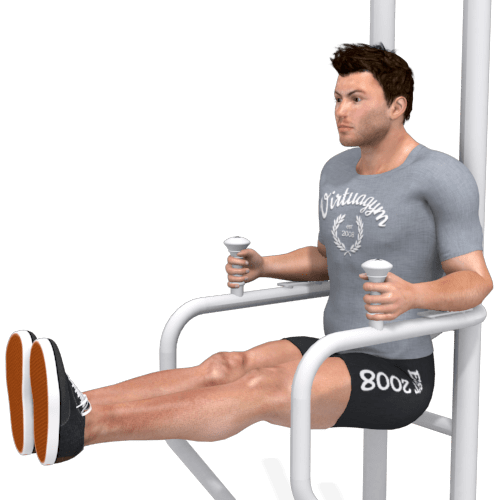 Leg Raise, Captains Chair Video Exercise Guide