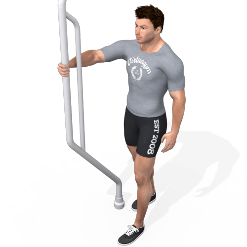 Chest Fly Standing Video Exercise Guide