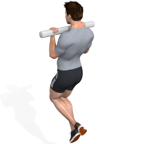 Rig Pull Up Mixed Grip Video Exercise Guide