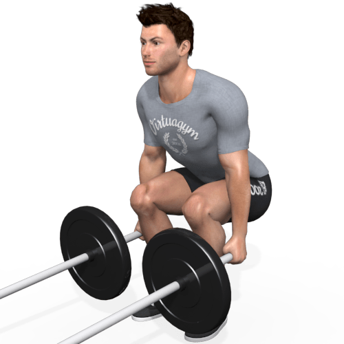 Landmine Squat Video Exercise Guide